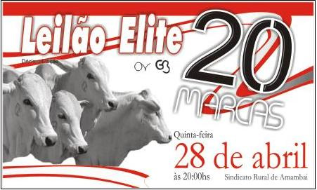 O 10º Leilão Elite “20 Marcas” acontece nesta quinta-feira, 28, a partir das 19 horas, no Tatersal do Sindicato Rural de Amambai, localizado na Parque de Exposições.