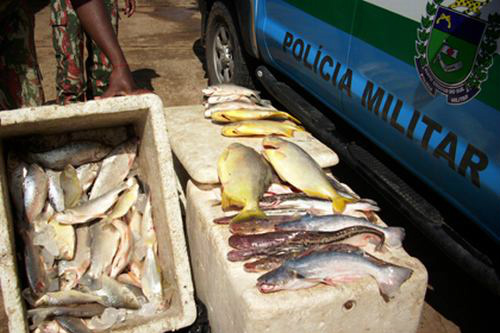Começa a Operação Piracema 2011/ 2012 nos rios do Estado