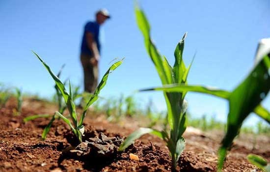 Câmara aprova medida que prorroga adesão ao Refis Rural Câmara aprova medida que prorroga adesão ao Refis Rural