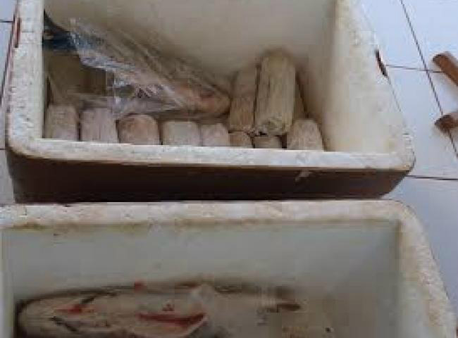 PMA autua feirante em R$ 2,8 mil e apreende 40 kg de pescado ilegal