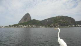 Falta de saneamento básico agrava poluição na Baía de Guanabara