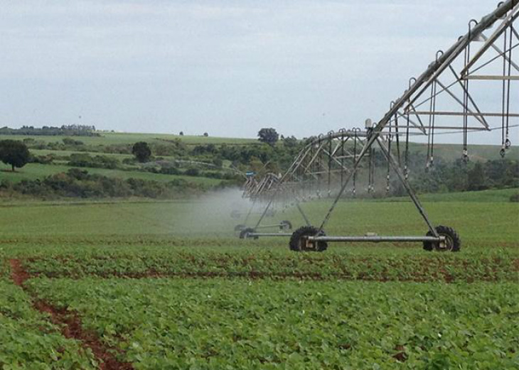 Estudo aponta viabilidade de irrigar soja no sul de MS