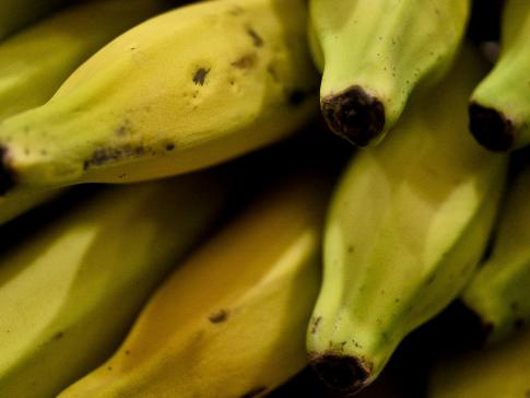 Casca de banana pode descontaminar águas poluídas com pesticida Casca de banana pode descontaminar águas poluídas com pesticida