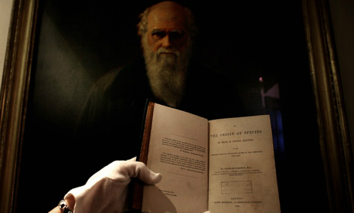 'Supremo'... a primeira edição do livro de Charles Darwin, junto com o retrato de Darwin posto em exposição pela Royal Society, em 2010. / Foto: Martin Godwin, para o The Guardian