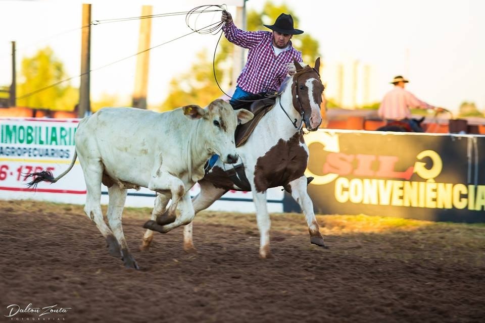 30º Interestadual de Clubes de Laço acontece neste final de semana, em Amambai Foto: Dalton Zonta