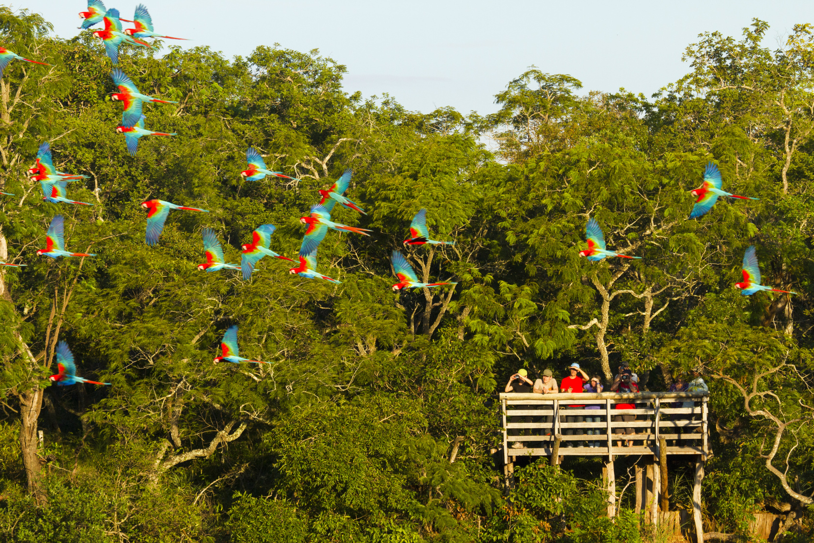 Conheça os destinos turísticos de Mato Grosso do Sul para os feriados de 2017 Buraco das Araras, em Jardim – Região Turística Bonito – Serra da Bodoquena. (Foto: Divulgação)