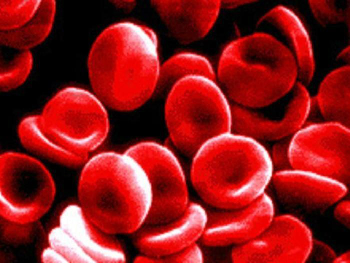 Farmanguinhos obtém novo registro de medicamento para tratar anemia