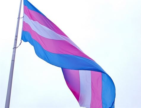 TSE autoriza candidatos transgêneros a usarem nome social nas urnas TSE autoriza candidatos transgêneros a usarem nome social nas urnas