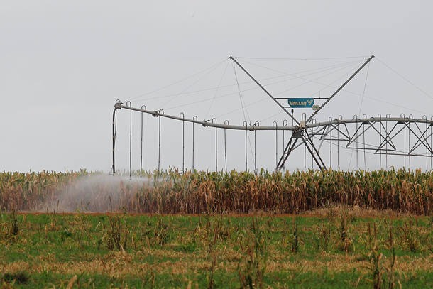 Agropecuária cresce 13% e sustenta PIB brasileiro Agropecuária cresce 13% e sustenta PIB brasileiro