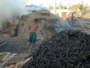 OIT: trabalho infantil no mundo é reduzido em um terço entre 2000 e 2013