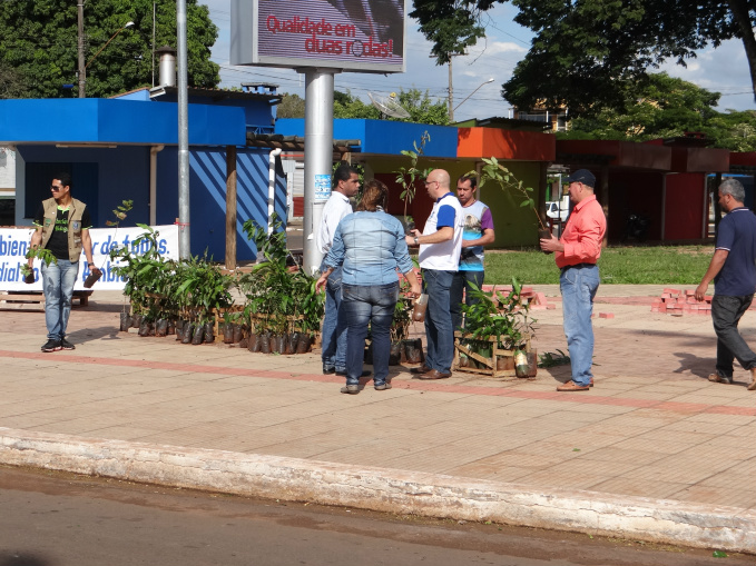 Em 2014, a secretaria distribuiu mudas de árvores para pessoas que passavam pelo centro de Amambai / Foto: Moreira Produções