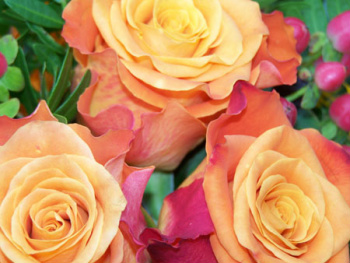 Dia das Mães aquece comércio de Amambai e sorteia prêmios A Floratta Decorações e Floricultura se prepara para esta data com diversas opções de presentes para embelezar o Dia das Mães.