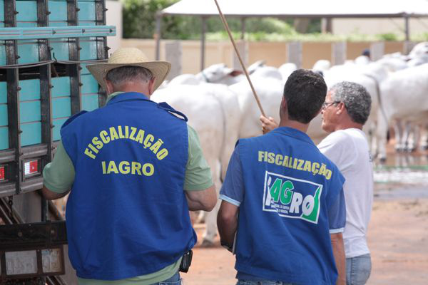 Iagro reformula projeto de cargos para a realização de concurso