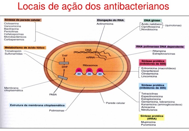 Foto: SlideShare