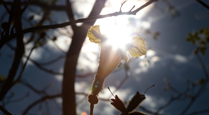 Temperaturas voltam a subir neste fim de semana Foto: Aquivo Subcom