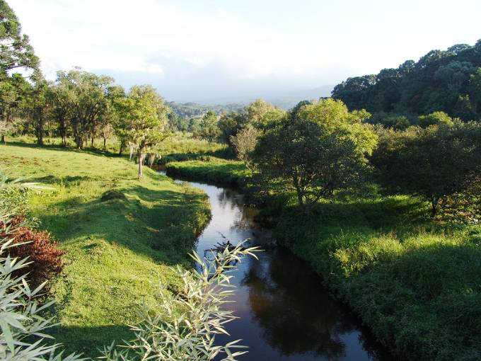 Quando o destino é a própria estrada Vista da Estrada da Graciosa (Autor: Imagem - Arquivo Paraná Turismo)