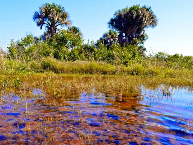 Seminário no Pantanal tem apoio da Comam