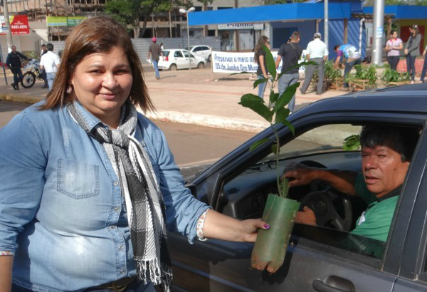 Prefeitura vaidistribuir mudas nativas na praça central. Na foto a secretária Vãnia Farias durante entrega de mudas em 2014  Foto: Moreira Produções