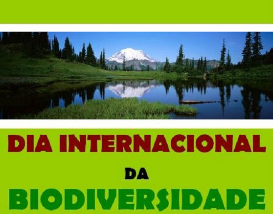 29 de Dezembro - Dia Internacional da Biodiversidade