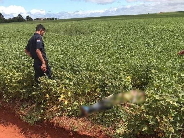 Homem encontrado morto em lavoura tinha 29 anos e extensa ficha criminal Policial ao lado do corpo da vítima, na manhã de ontem (28). (Foto: Porã News)