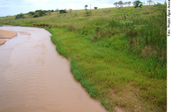 O ponto de maior divergência, a chamada 'escadinha', que trata da área de recuperação de florestas nas margens dos rios, recebeu o veto da presidente Dilma RousseffFoto: Divulgação