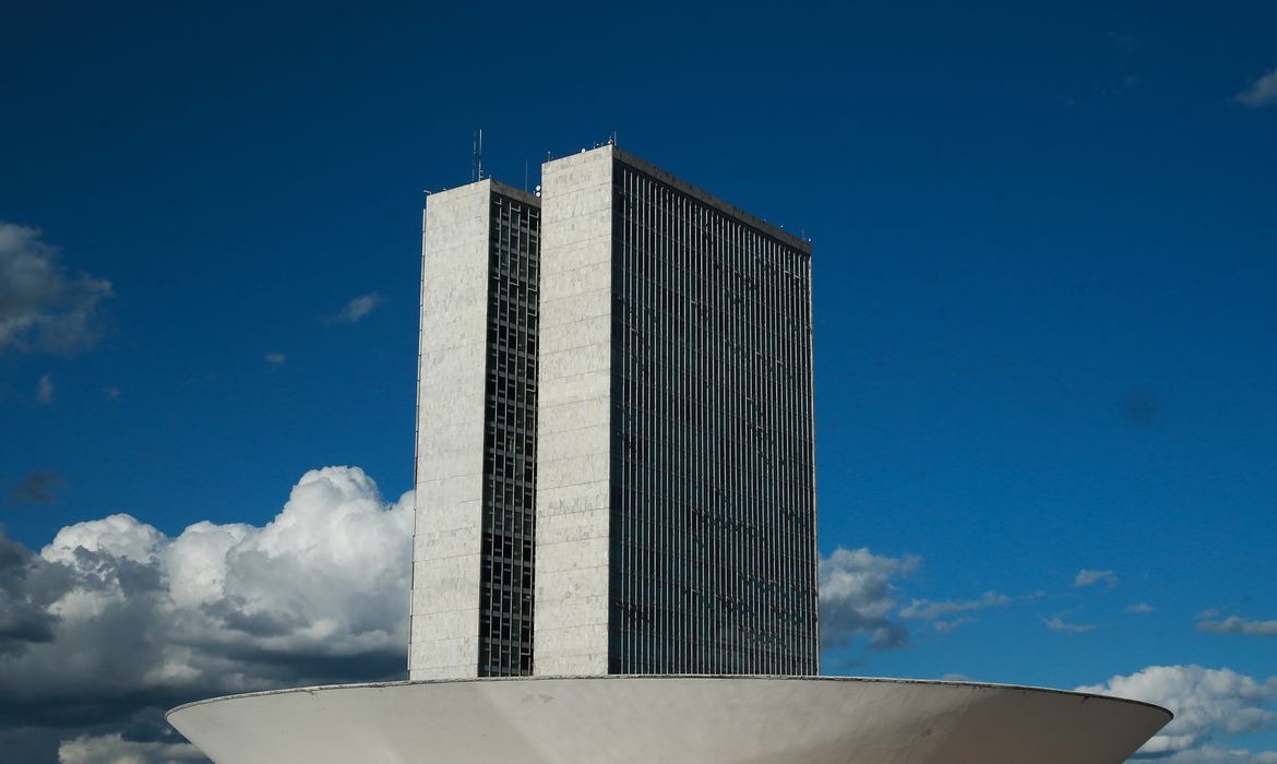 Deputados derrubam nove vetos a nove projetos de lei Foto: Marcello Casal Jr./Agência Brasil