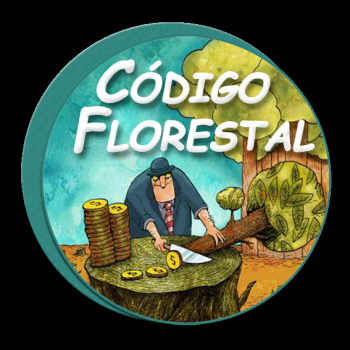 Verdes e ruralistas divergem sobre vetos a pontos do Código Florestal