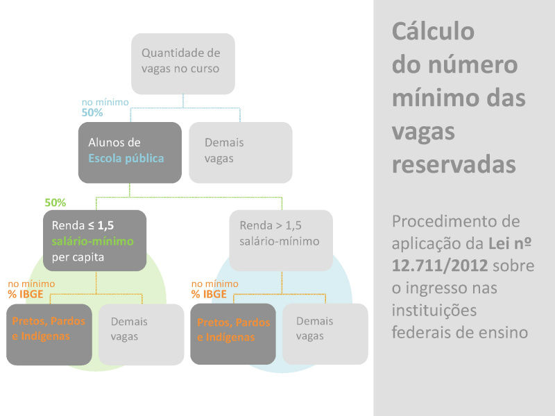 Infográfico do site do MEC ajuda a entender melhor como funciona o sistema de cotas 