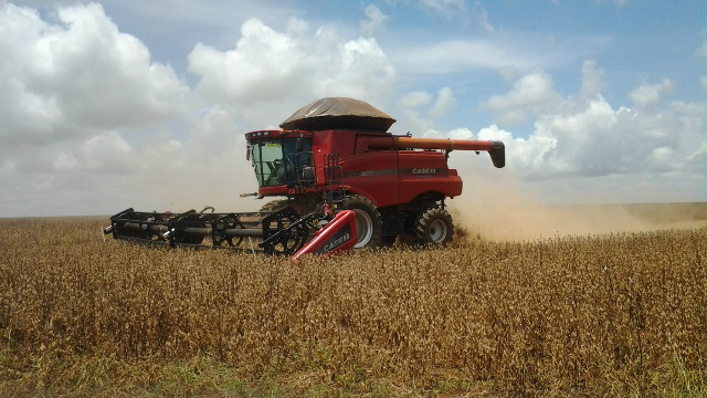 MS tem 15% da área de soja pronta para colheita (Foto: Divulgação)