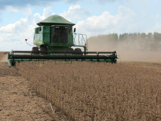 Colheita da soja já começou em nove municípios de MS Em MS, produtores de nove cidades de Mato Grosso do Sul iniciaram a colheita da safra 2016/2017 de soja (Foto: Aprosoja-MS/Divulgação)