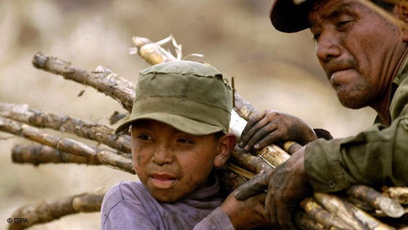 Multinacional pagará R$ 2 mi por trabalho escravo Multinacional pagará R$ 2 mi por trabalho escravo / Foto: Divulgação