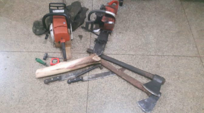 (Foto: Divulgação)