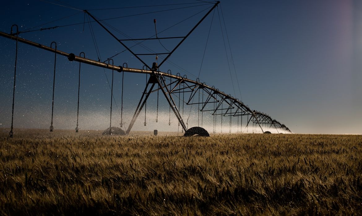 Decreto institui sistema que verifica emissões de carbono no agro Foto: CNA