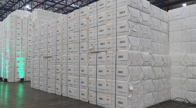 Exportações de celulose crescem 70% em 2018 e elevam balança comercial de MS Foto: Chico Ribeiro