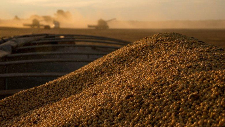 Entidades firmam acordo para fomentar produção de soja sustentável (Foto: Divulgação)