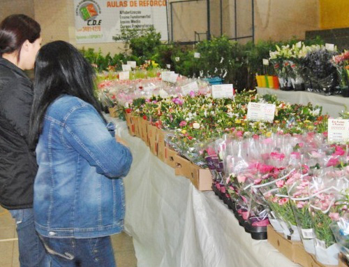 Amambai, 65 anos: 2ª Semana das Flores acontece entre quarta (25) e domingo (29)