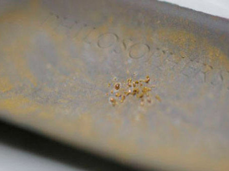 Cientistas descobrem bactéria que produz ouro