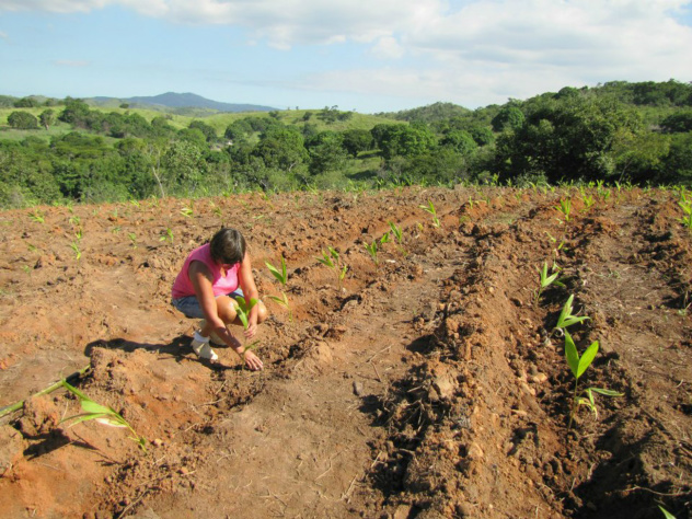 Programa beneficia 142,5 mil famílias de agricultores em quatro anos
