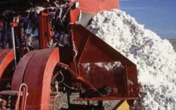 Produtores de algodão apoiam integração entre Mercosul e União Europeia
