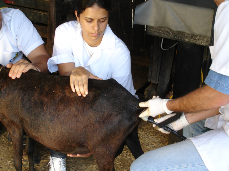 Os cursos do Senar/MS qualificam pessoas que têm no campo sua fonte trabalho e geração de renda