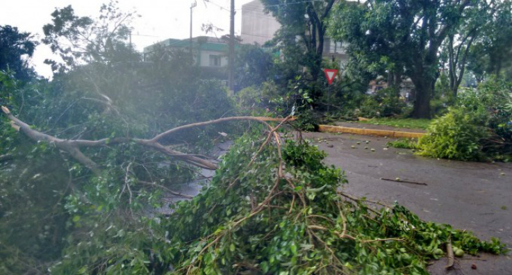 Tornado atinge Marechal Cândido Rondon, a oeste do Paraná Tornado atinge Marechal Cândido Rondon, a oeste do Paraná