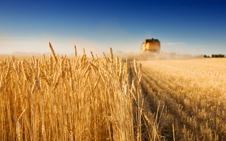 Seguro rural terá novas regras para os próximos três anos Seguro rural terá novas regras para os próximos três anos