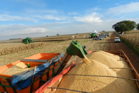 Cresce participação do agronegócio no resultado da balança comercial Foto: Assessoria de Imprensa Sistema Famasul