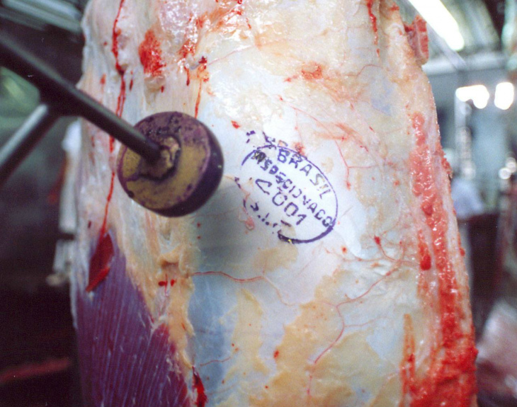 Exportação de carne bovina cresce 9,2% nos primeiros nove meses de 2015 Exportação de carne bovina cresce 9,2% nos primeiros nove meses de 2015