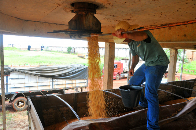 Vendas caíram em seis dos 10 maiores exportadores de Mato Grosso do Sul Perdas nas exportações de milho e soja afetaram produtores de MS. (Foto: Valdenir Rezende/Correio do Estado)