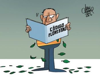 Decisão sobre Código Florestal fica para a Comissão do Senado