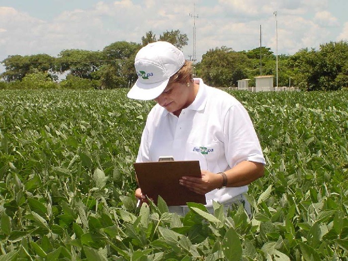 Artigo - Agricultura coroada de êxitos e de ciência