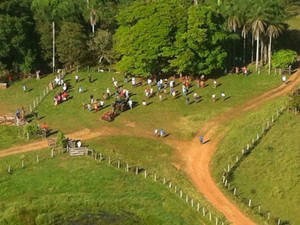 Funai diz que 1,6 mil índios ocupam 4 fazendas emSidrolândia. (Foto: Alysson Maruyama/TV Morena)
