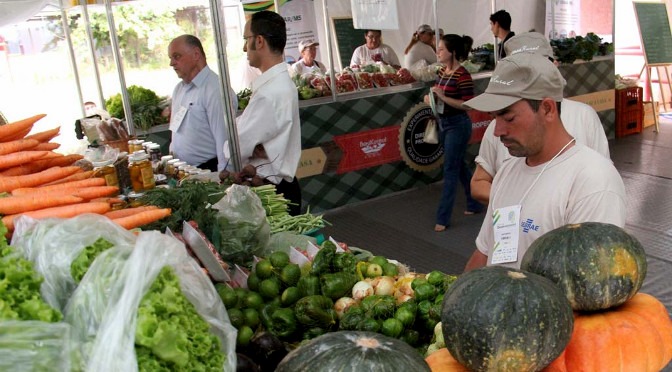 “MS no Campo” destaca fomento da agricultura familiar em MS Foto: Divulgação