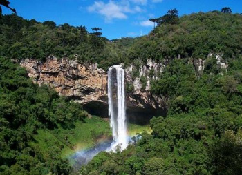 Novo Código Florestal pode aumentar desmatamentos e prejudicar agricultura, alerta cientista